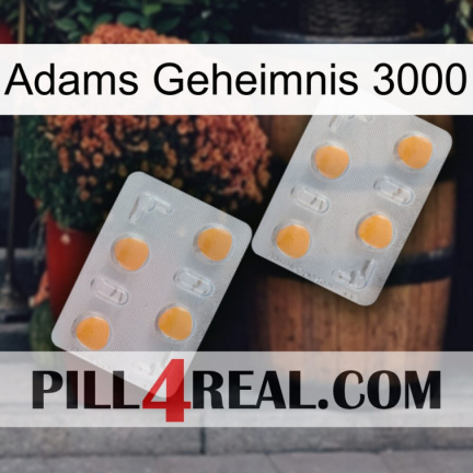 Adams Secret 3000 25